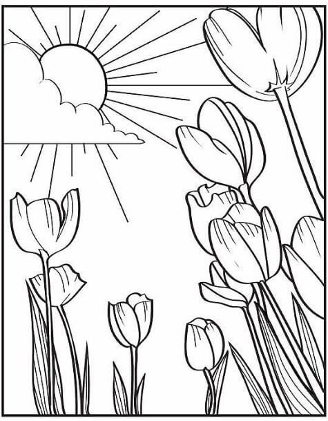 1001+ Tranh tô màu hoa Tulip đẹp và ý nghĩa 89 Hoa Tulip đón ánh nắng cực đẹp để các bạn sáng tạo màu sắc