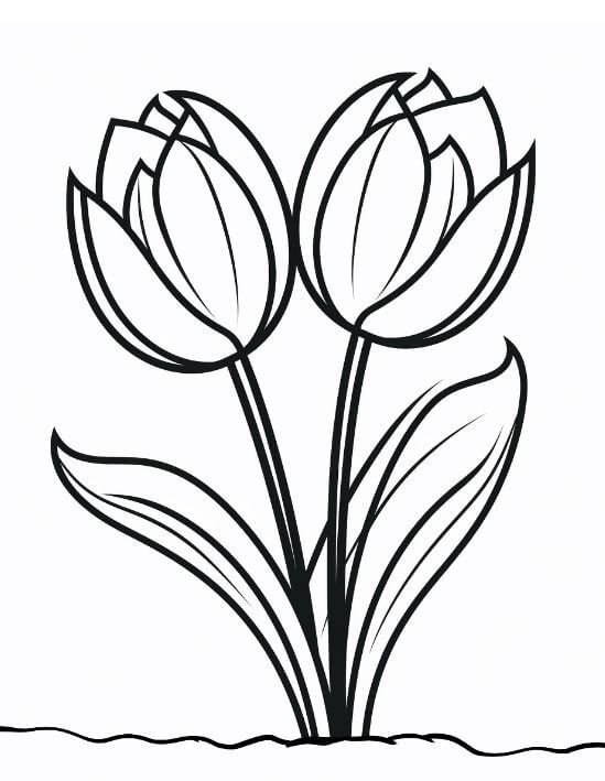1001+ Tranh tô màu hoa Tulip đẹp và ý nghĩa 91 Bông hoa Tulip rực rỡ dành cho các bạn