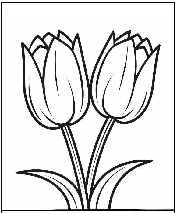 1001+ Tranh tô màu hoa Tulip đẹp và ý nghĩa 93 2 bông hoa Tulip thật lớn để bạn nhỏ tô màu