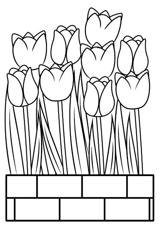 1001+ Tranh tô màu hoa Tulip đẹp và ý nghĩa 96 Tranh tô màu hoa tulip đẹp, đơn giản để sáng tạo