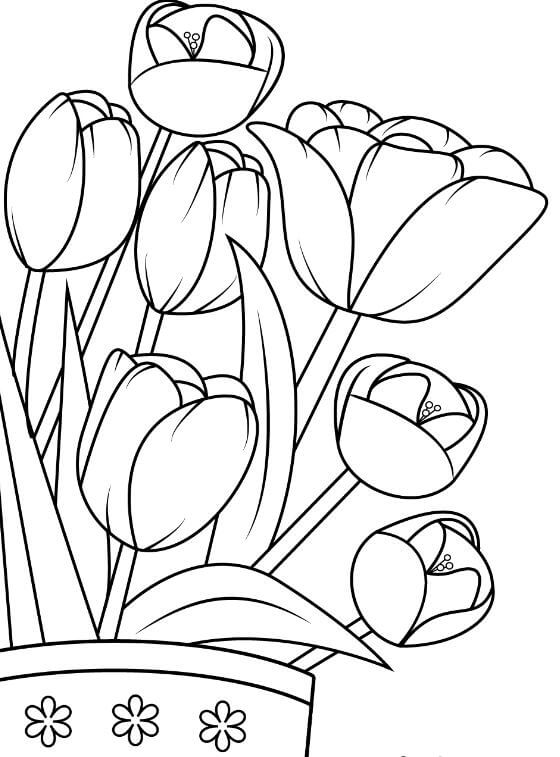 1001+ Tranh tô màu hoa Tulip đẹp và ý nghĩa 99 Thể hiện sự sáng tạo với tranh tô màu hoa Tulip