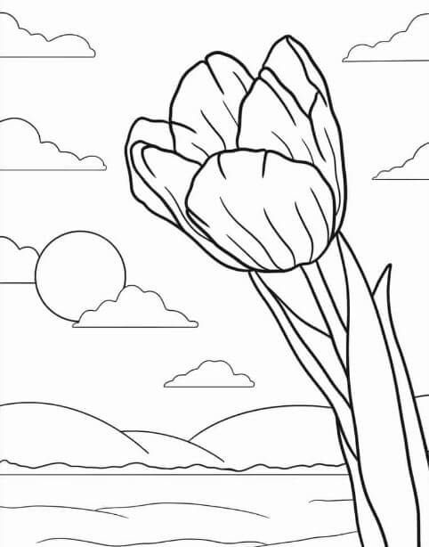 1001+ Tranh tô màu hoa Tulip đẹp và ý nghĩa 112 Một bông hoa Tulip đang tung bay trong gió và nắng mai