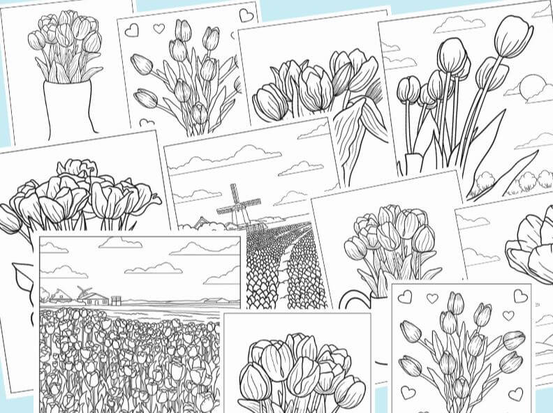 1001+ Tranh tô màu hoa Tulip đẹp và ý nghĩa 117 Tranh tô màu hoa Tulip đẹp rất đa dạng bạn có thể thỏa đam mê