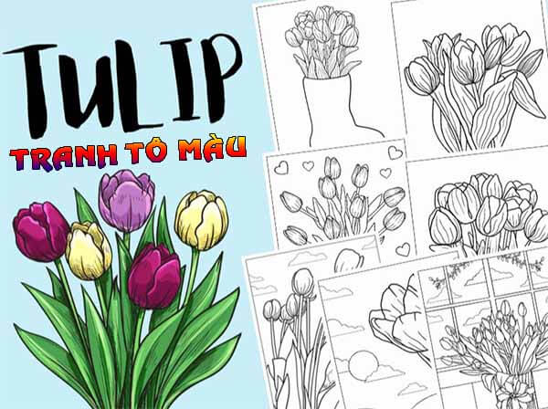 1001+ Tranh tô màu hoa Tulip đẹp và ý nghĩa 79 Nhiều lợi ích với Tranh tô màu hoa Tuilip đẹp